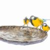 METAL GREAT TIT STICK BIRDFEEDER