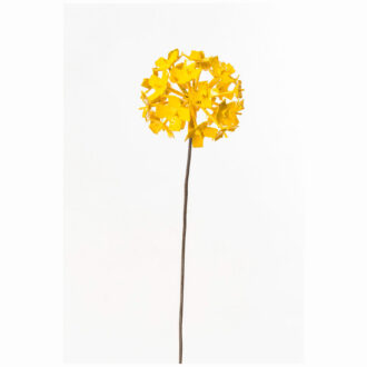 ALLIUM FLOWER YELLOW
